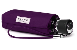 THE DAVEK MINI - 3